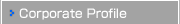 Corporate Profile