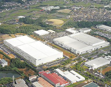 Kani Plant Kani Plant