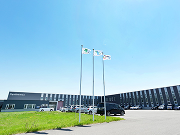 Synthemec Co., Ltd