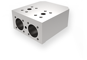 Manifold block
