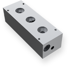 Manifold block