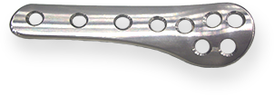 Plate